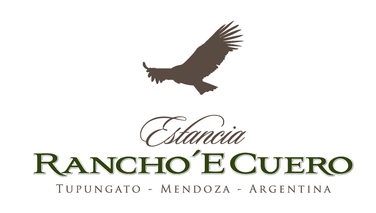 Welcome to the Highlight of your Trip. Estancia Rancho 'e Cuero